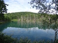 img (48)